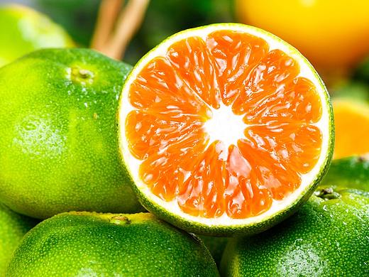 青皮蜜桔 青皮蜜桔详情 青皮蜜桔详情页 电商产品拍摄