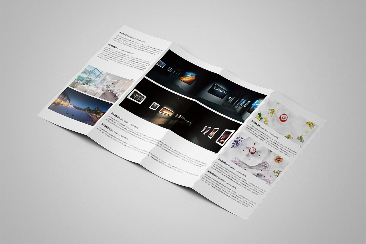 臨摹-羅紅攝影藝術(shù)館（折頁）（圖ZNzM2MDA4NzI=） - 宣傳物料 - 站酷設(shè)計(jì)師趙寶寬原創(chuàng)素材 - 站酷ZCOOL