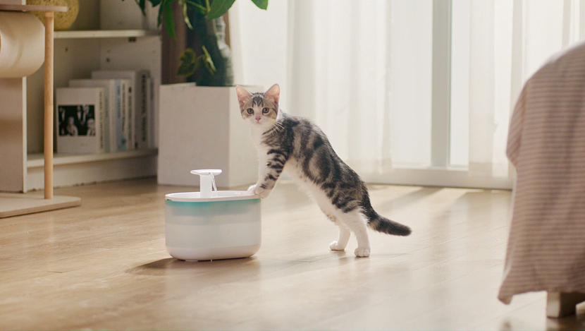 Petlibro 宠物喂食器&饮水器