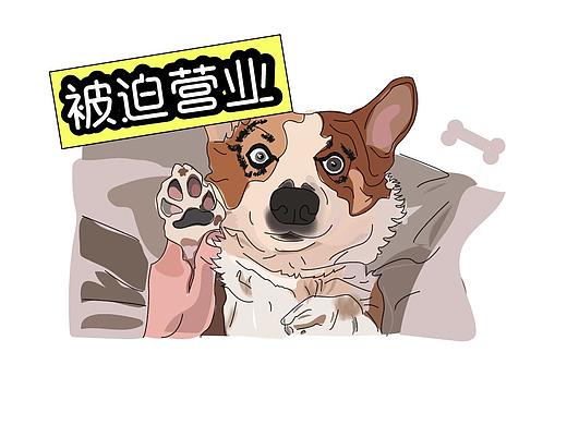 柯基表情包