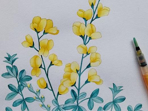 水彩花卉