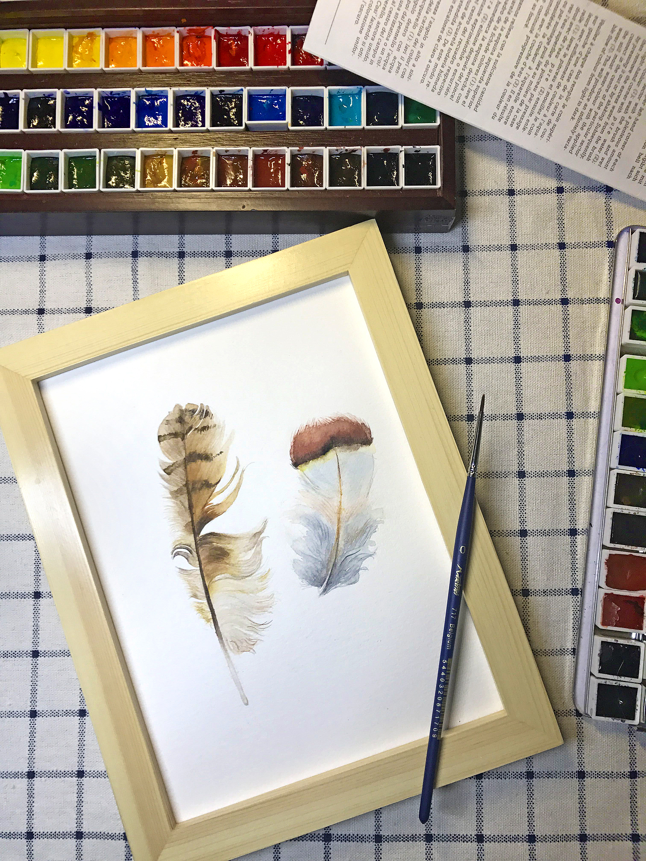 预告:免费水彩手绘丨直播体验课 Vol.9 《轻如羽毛》