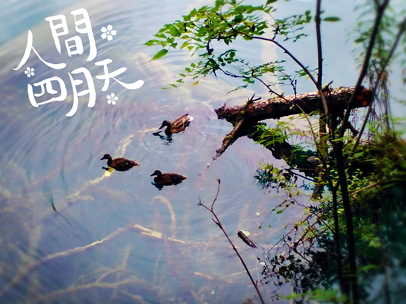 微 。 渺（图ZNTQ3OTY2MDQ=） - 修图/后期 - 站酷设计师星云苜蓿原创素材 - 站酷ZCOOL