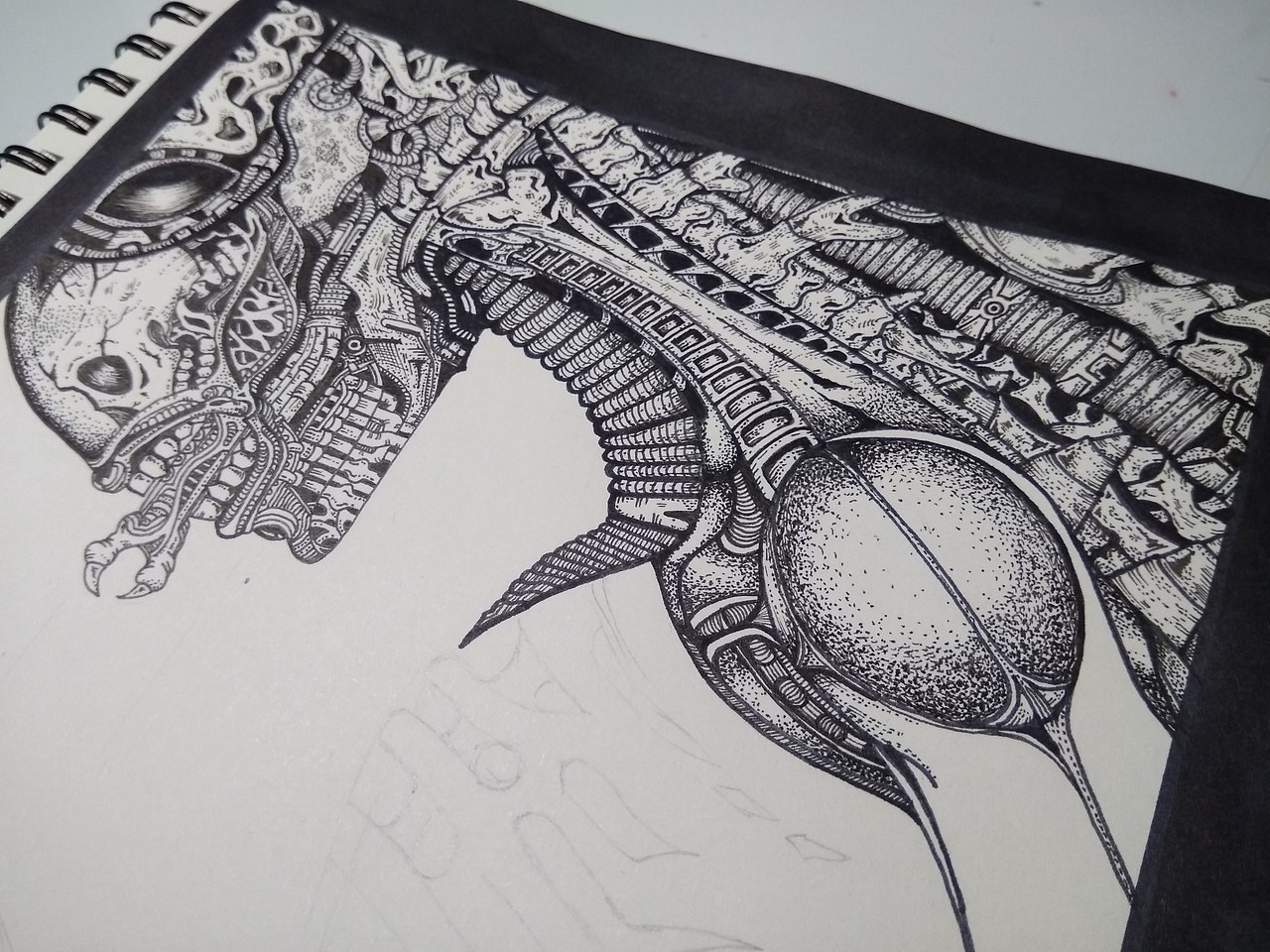 20191017异形线稿练习