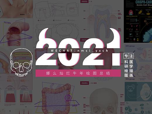 娜么灿烂牛年绘图总结