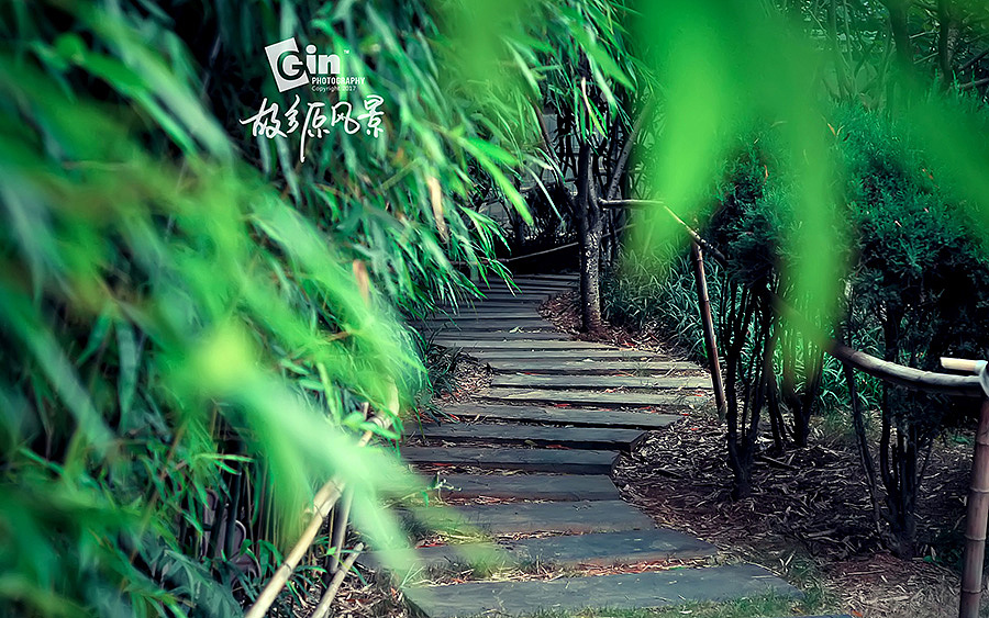 拍照 | 故乡原风景、