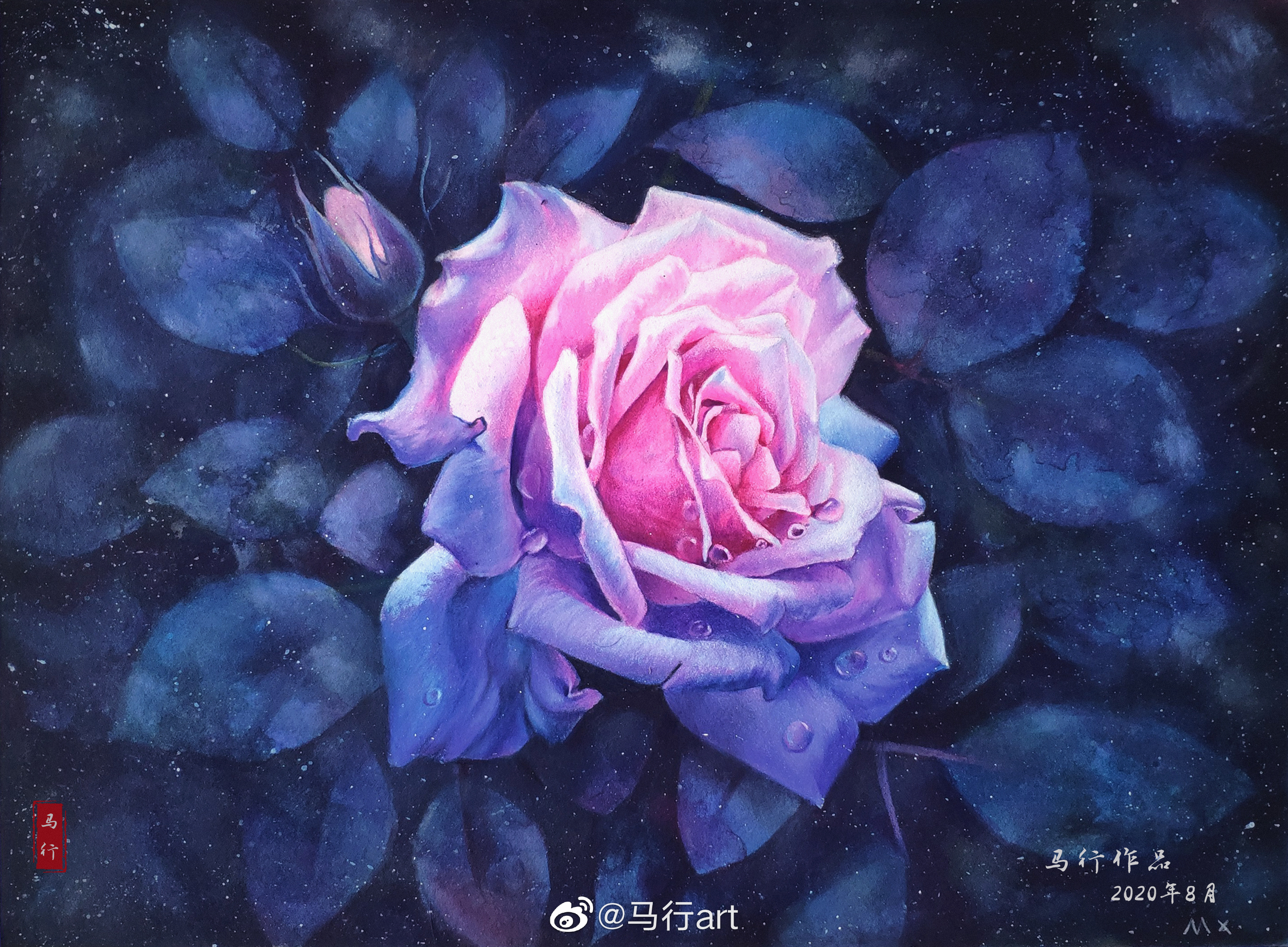 彩铅玫瑰|纯艺术|绘画|马行画彩铅 - 原创作品 - 站酷 (zcool)