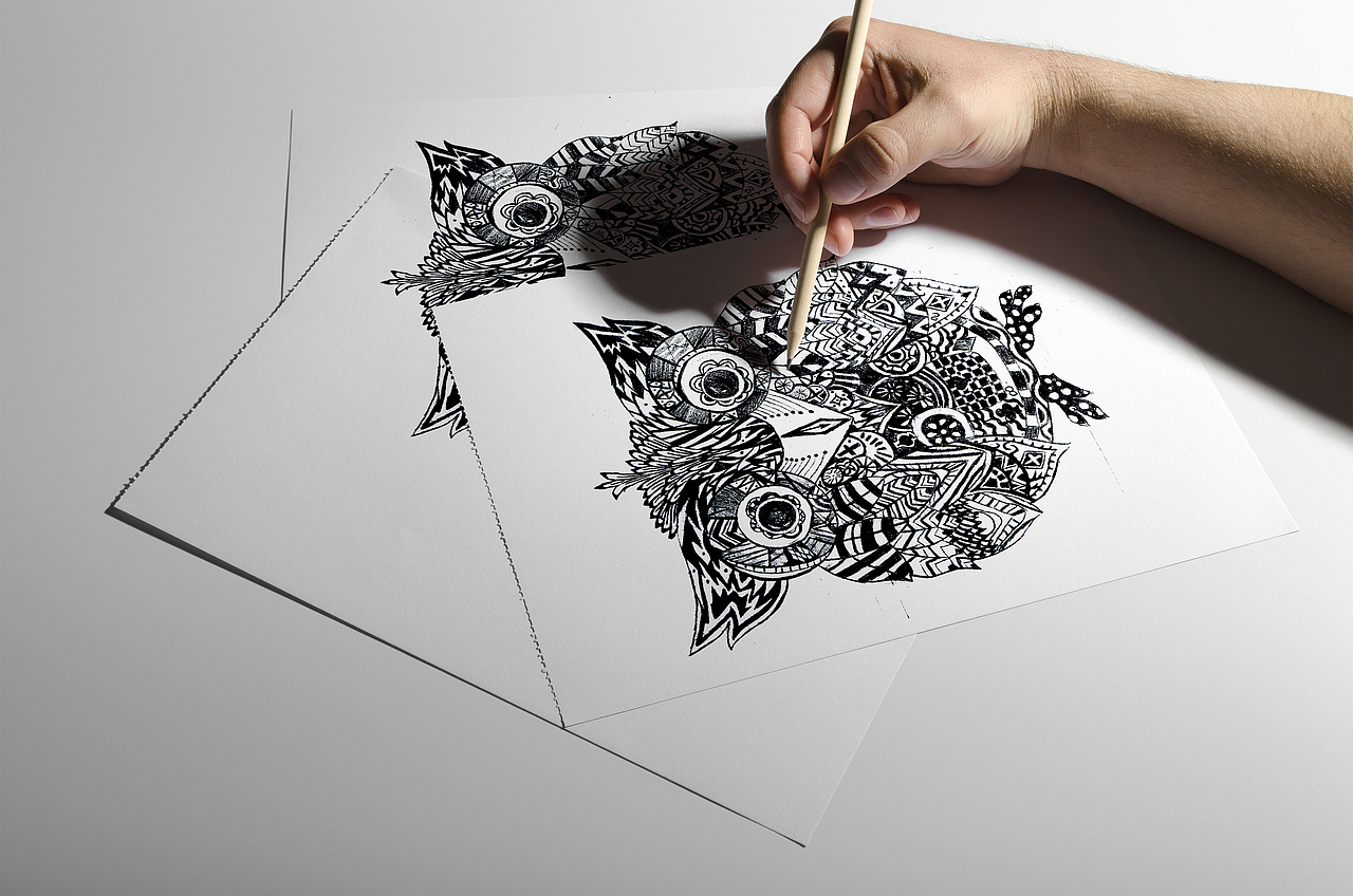 手绘 插画 猫头鹰