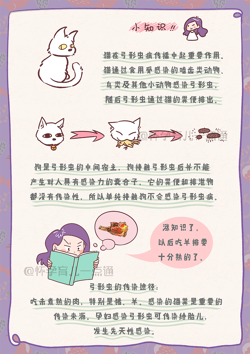 怀孕日记--育儿成长漫画--猫狗咱得离远点儿了