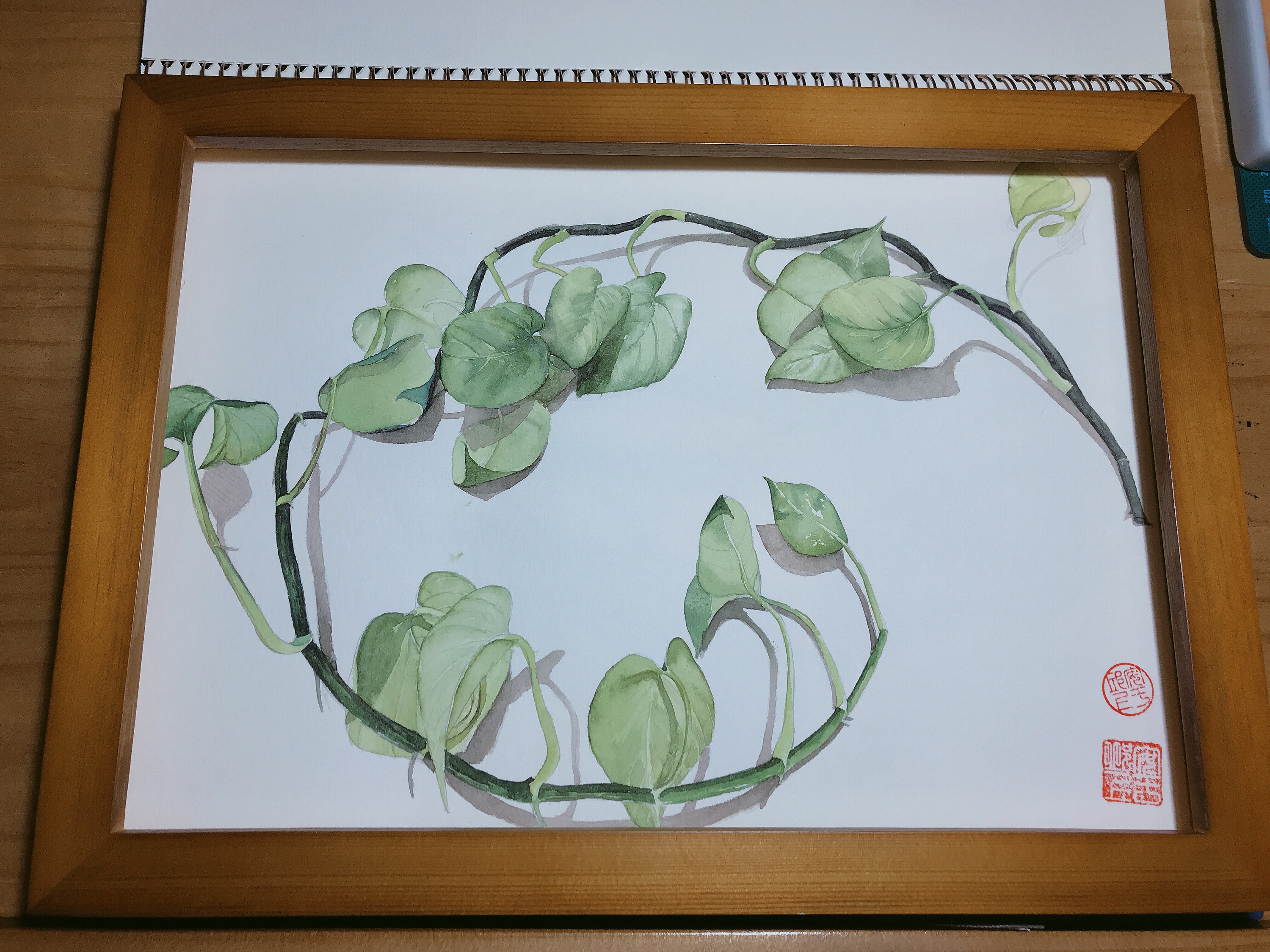 春日植物标本秀