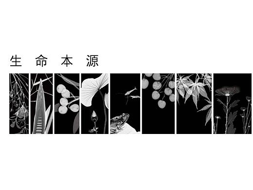 年 历