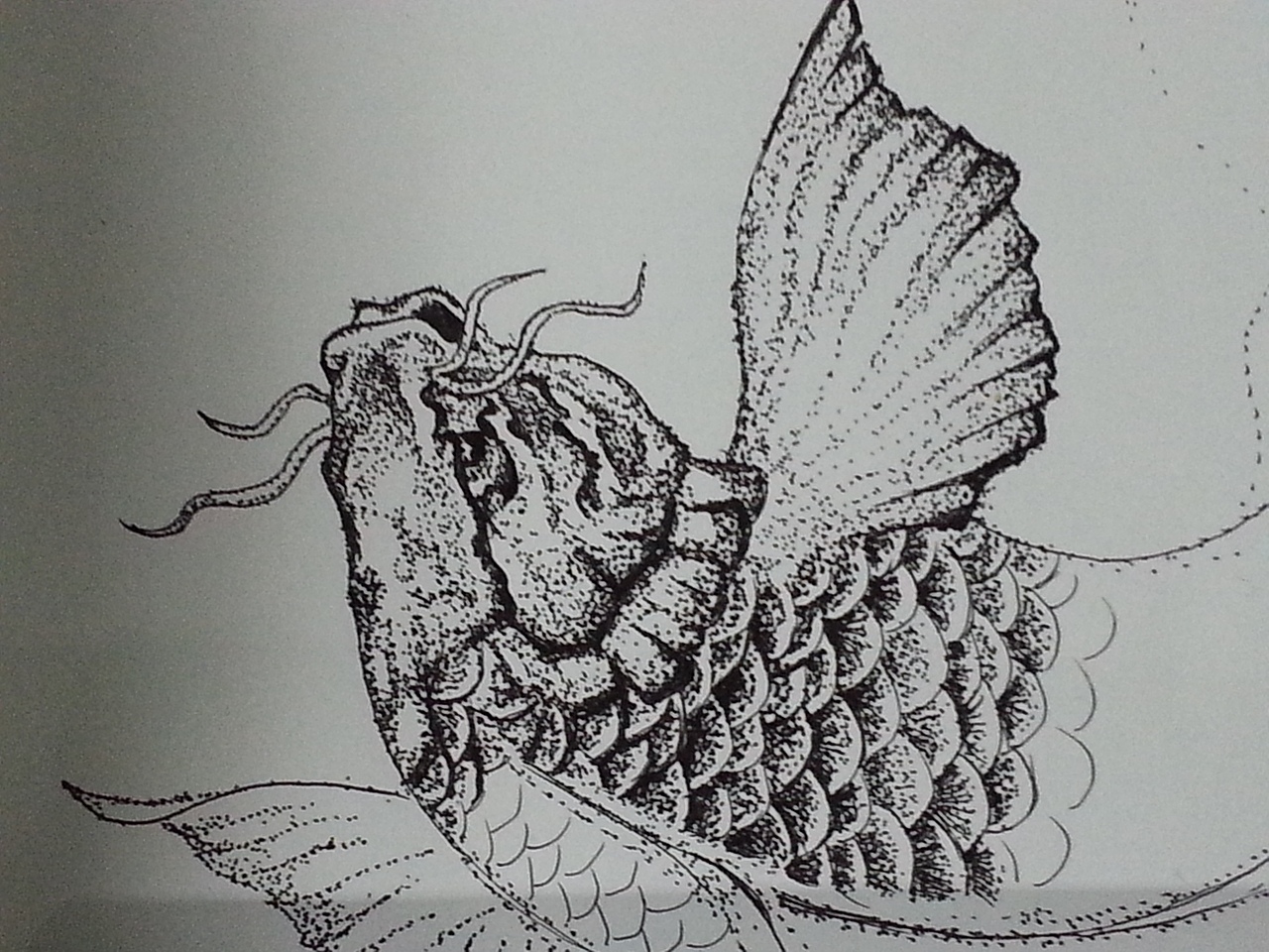 随笔（图ZMjkwODA4NzI=） - 其他平面 - 站酷设计师morbio原创素材 - 站酷ZCOOL