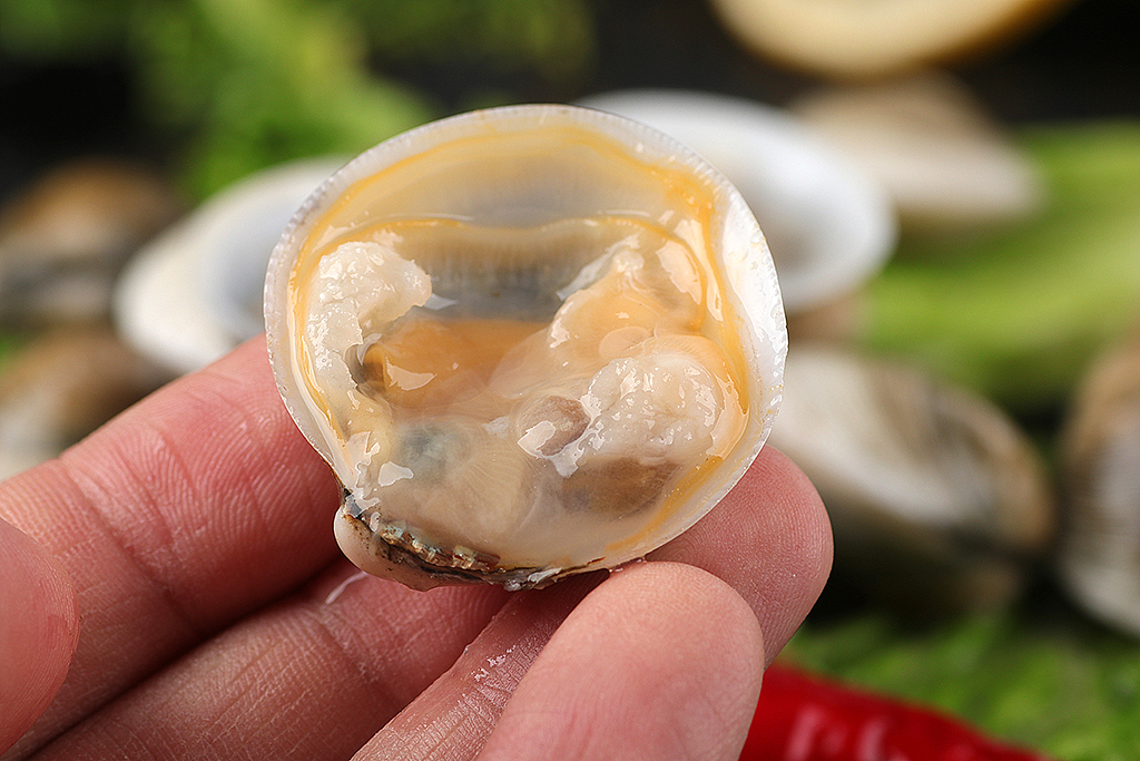 蛤蜊丨最近海鲜拍的多些丨飞鸟电商