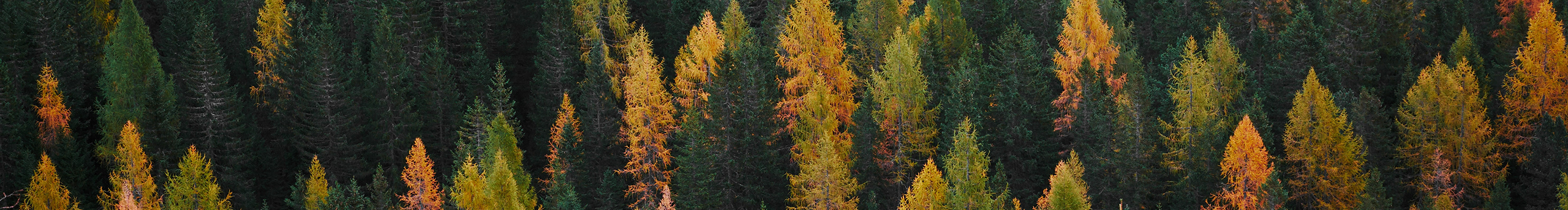 Yellow0的個人主頁（封面預(yù)覽） - 主頁封面設(shè)置 - 站酷設(shè)計師Yellow0原創(chuàng)素材 - 站酷ZCOOL