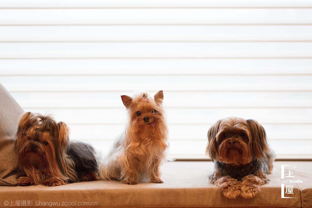 上屋摄影｜碧桂园 天玺湾｜美颂上镜（图ZMTIxOTUwMzky） - 环境/建筑摄影 - 站酷设计师上屋摄影原创素材 - 站酷ZCOOL