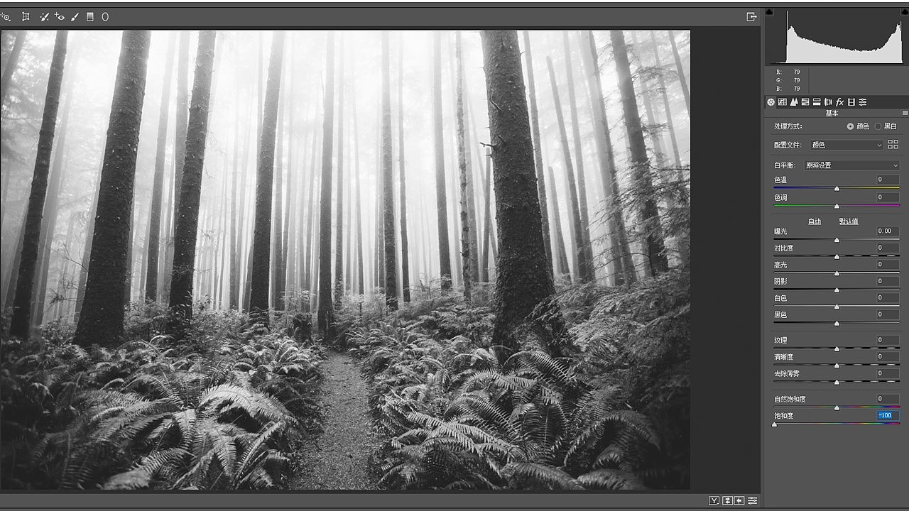 从Ins热门摄影作品中总结的3个后期调色思路（图ZMjExNDE0NTc2） - 风光摄影 - 站酷设计师thomas看看世界原创素材 - 站酷ZCOOL