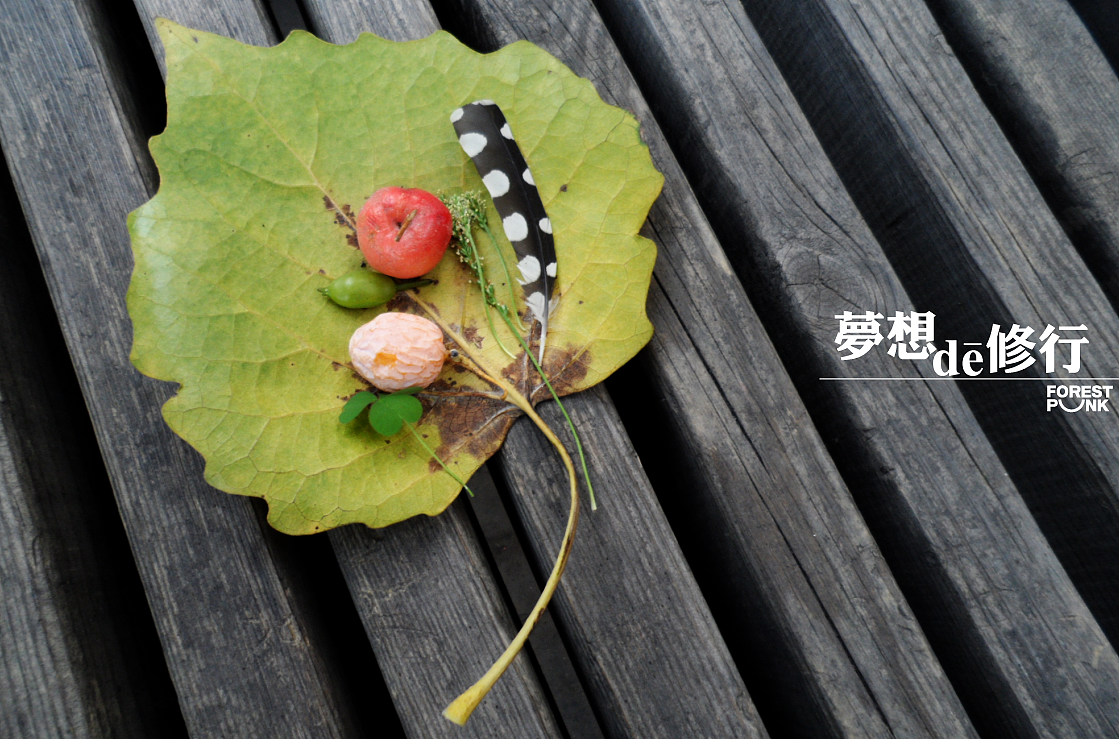 梦想de修行 系列之初起（图ZODA1OTY4NA==） - 绘画 - 站酷设计师自由的猞猁原创素材 - 站酷ZCOOL