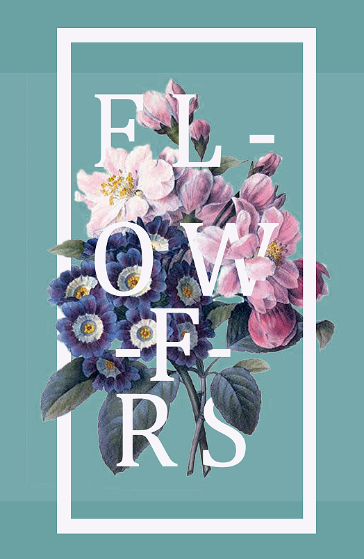 海报设计（图ZMjU4OTE3OTU2） - 海报 - 站酷设计师MOMO25807原创素材 - 站酷ZCOOL