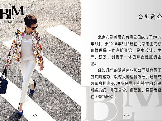 布勒美畫冊（個人主頁-ZMTM4NjY1NzY=） - 品牌 - 站酷設計師佳瑩呀原創(chuàng)素材 - 站酷ZCOOL