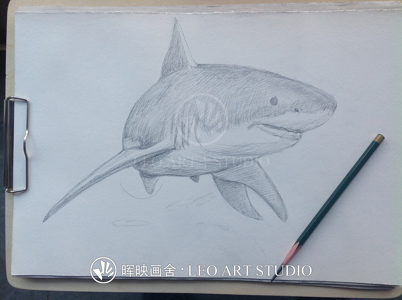 分享一幅素描插画——《大白鲨》的绘制过程
