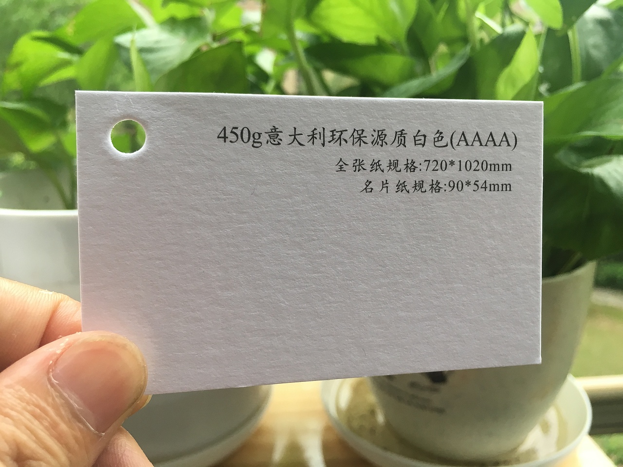 2019款特种纸艺术纸实物展示样册