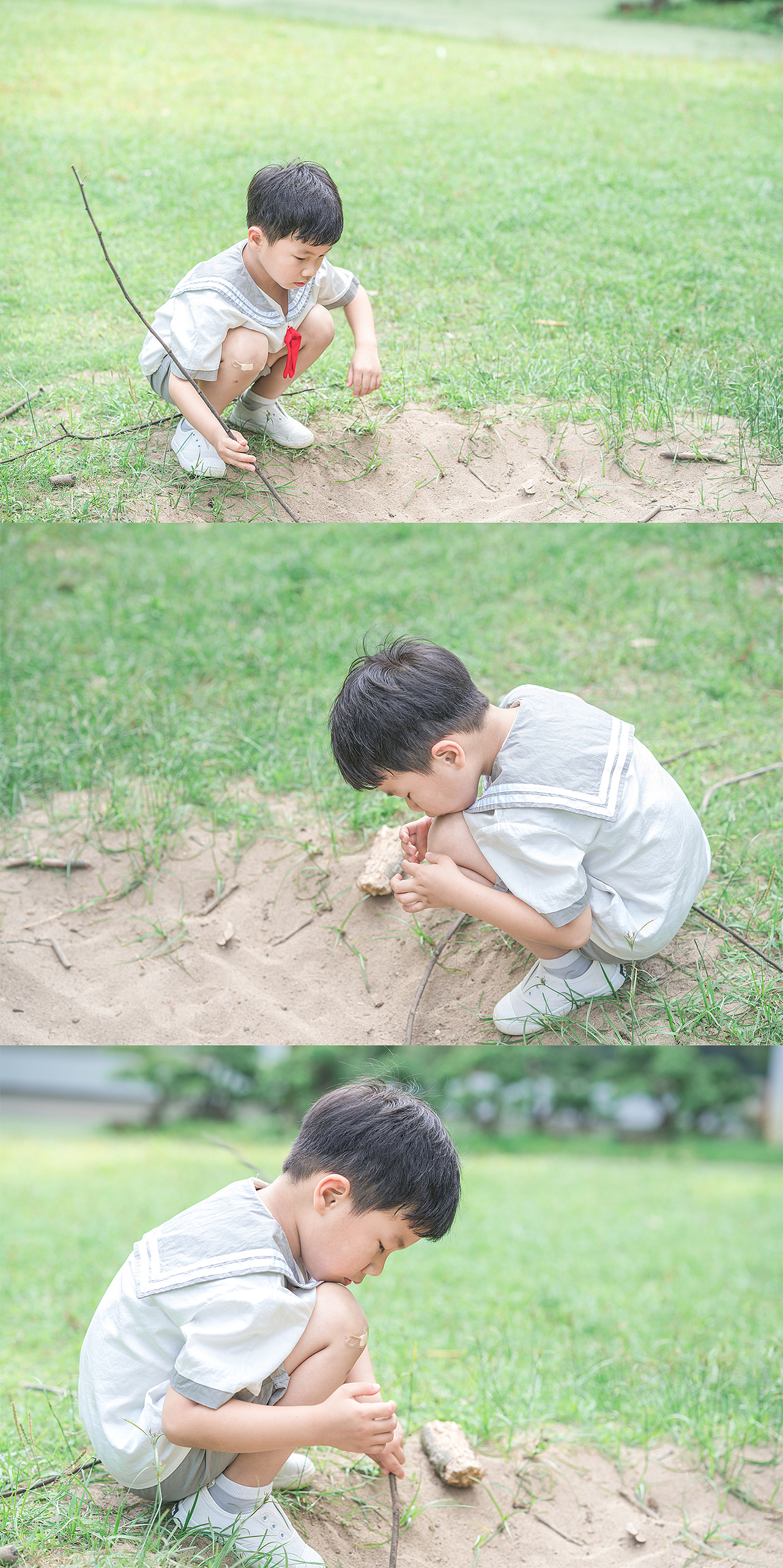 自然王国奇遇记