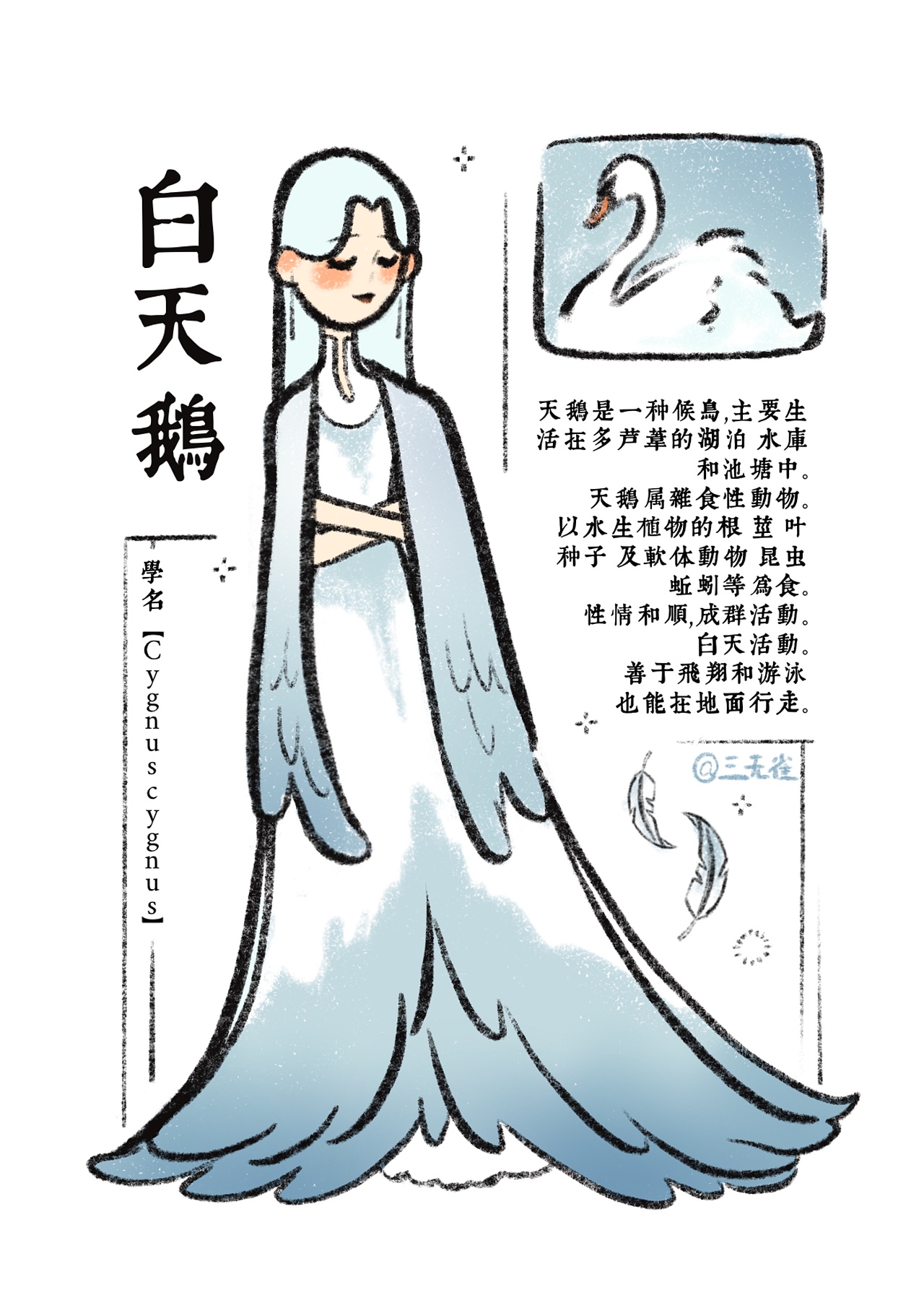 《南苑鸟类观察手册》