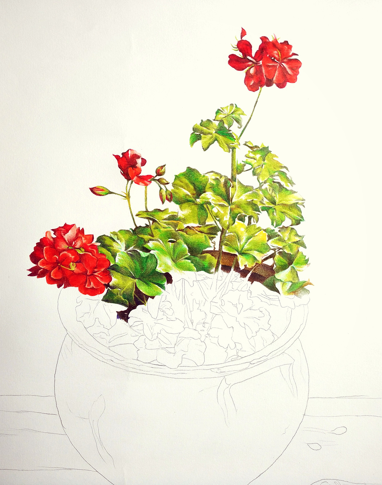 彩铅写实装饰画盆栽花