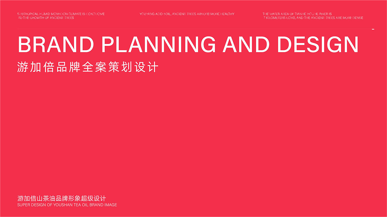 游加倍（中国）古树山茶油品牌全案策划设计