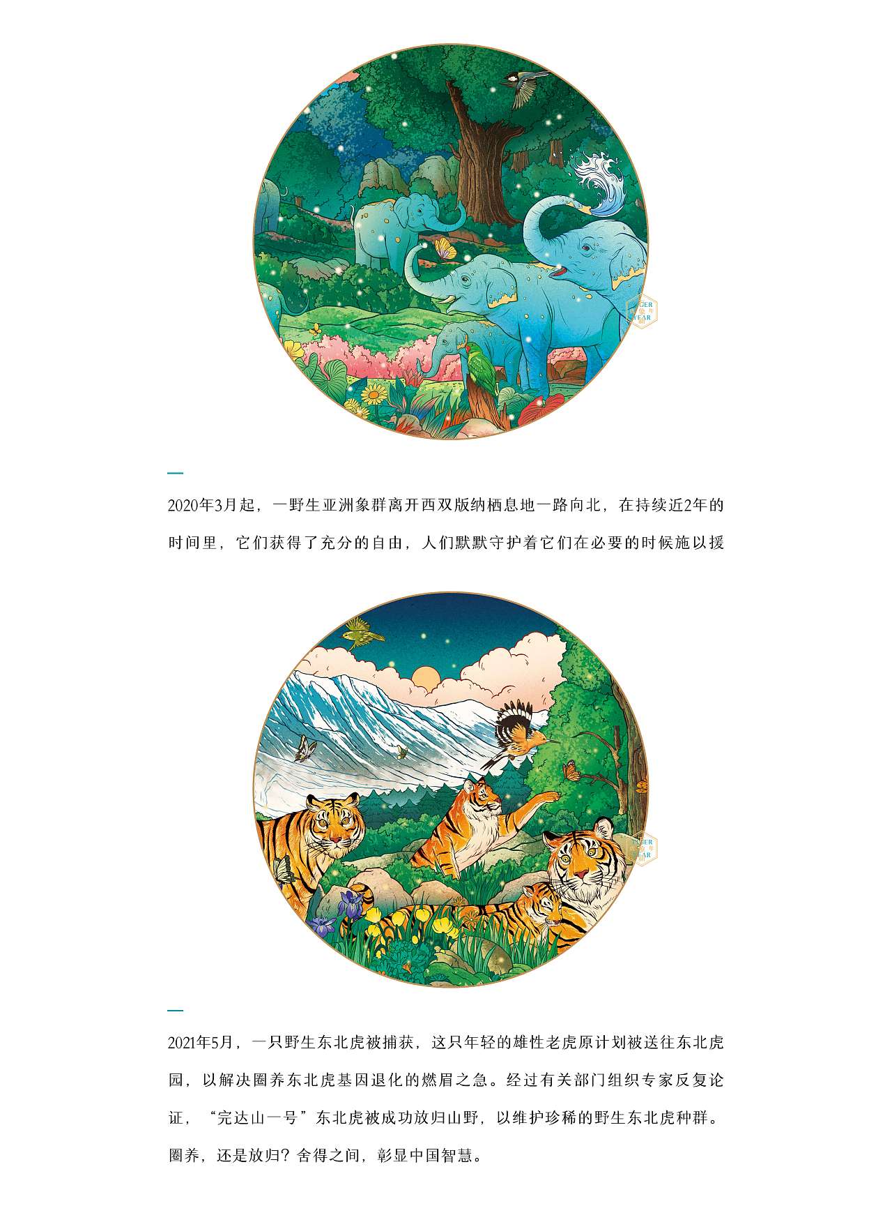 舍得 X 吴尧｜虎年春风起 舍得万象新（图ZMjgxNzUyMTI0） - 包装 - 站酷设计师吴尧文化原创素材 - 站酷ZCOOL