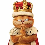 捧花的猫的头像