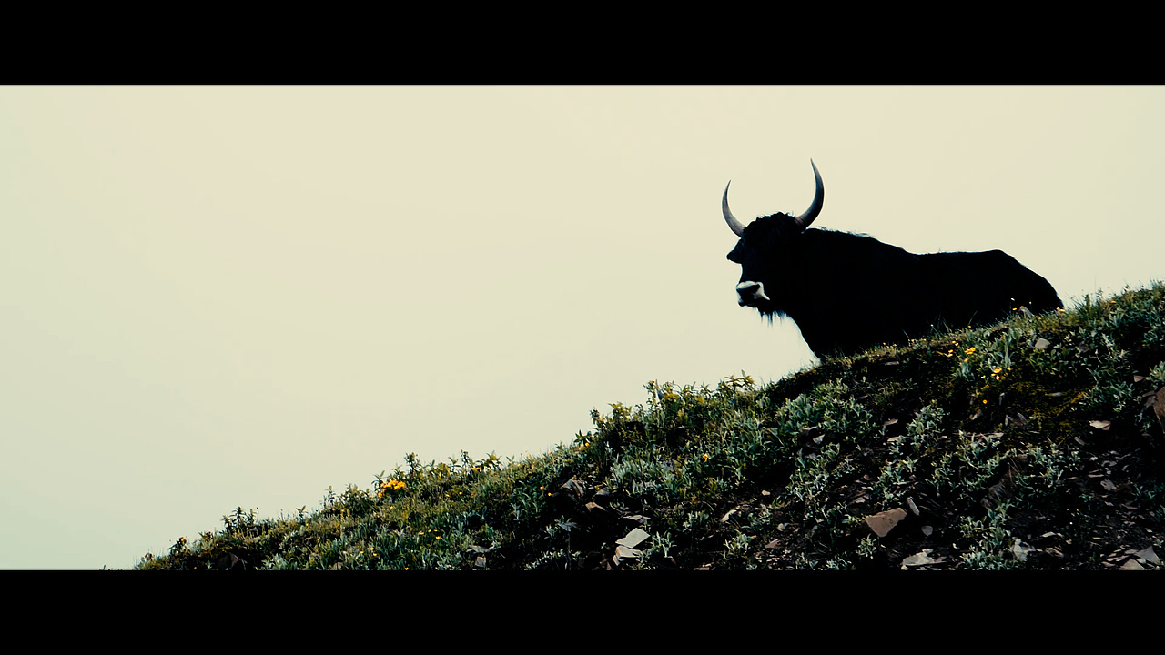 川西-定军山-四姑凉山