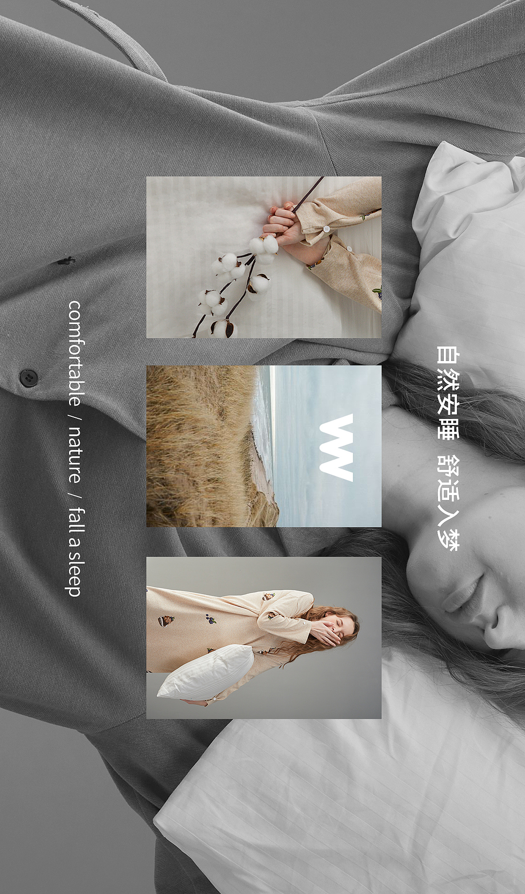 Will VISION商业案例|芬腾 FENTENG