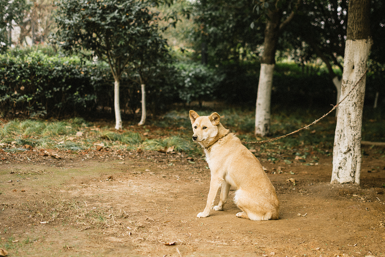 胶片,是一种态度。