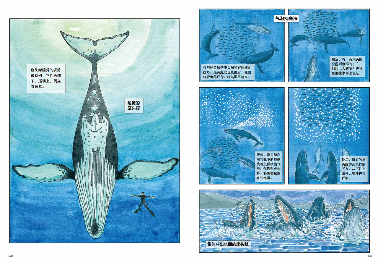 绘本海洋动物插画