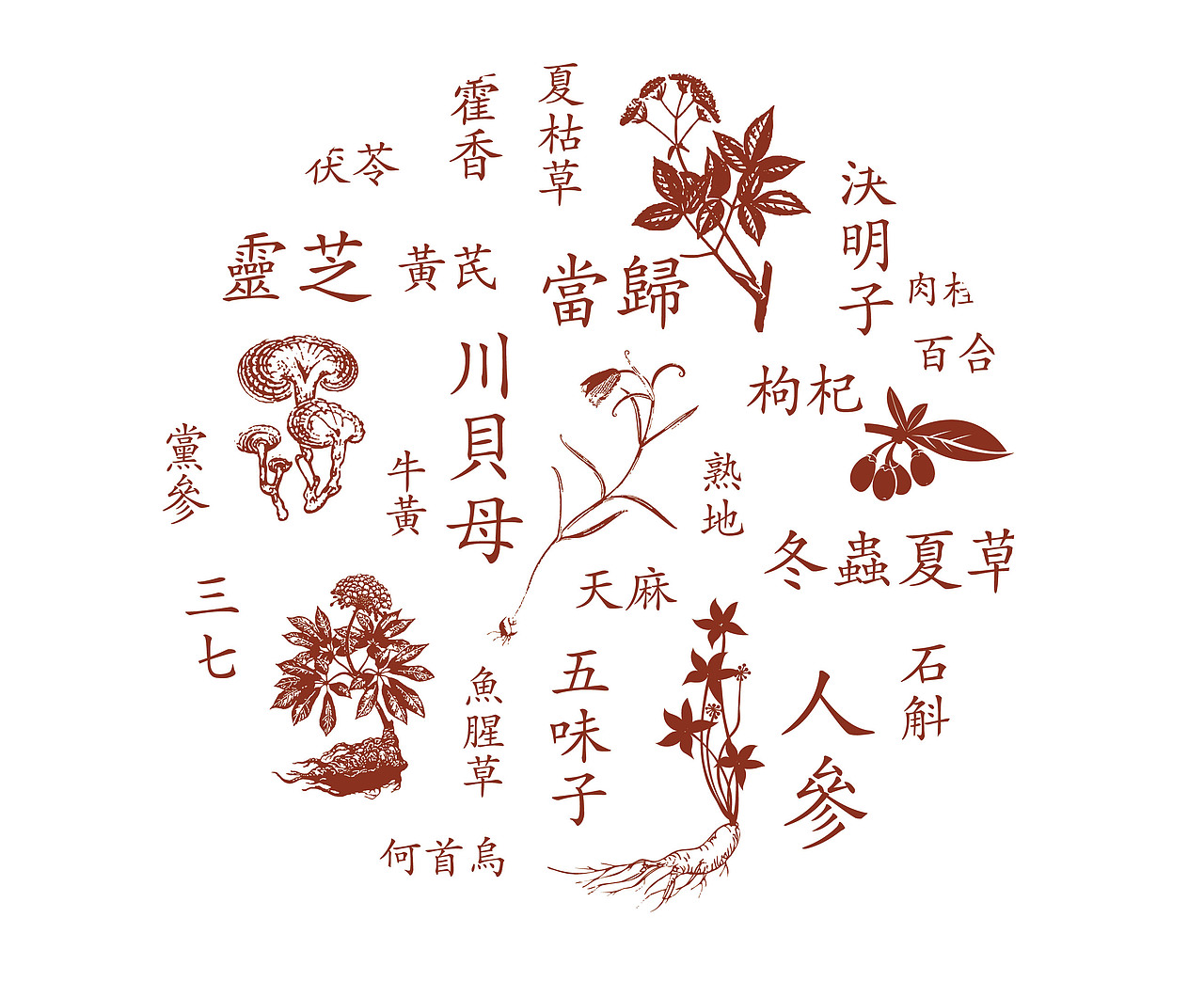 九江杏林中医馆标志设计,vi设计
