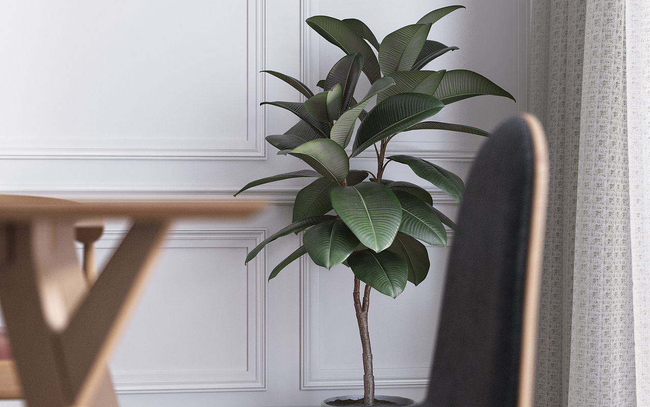 易梵-星星 遥遥路漫长~