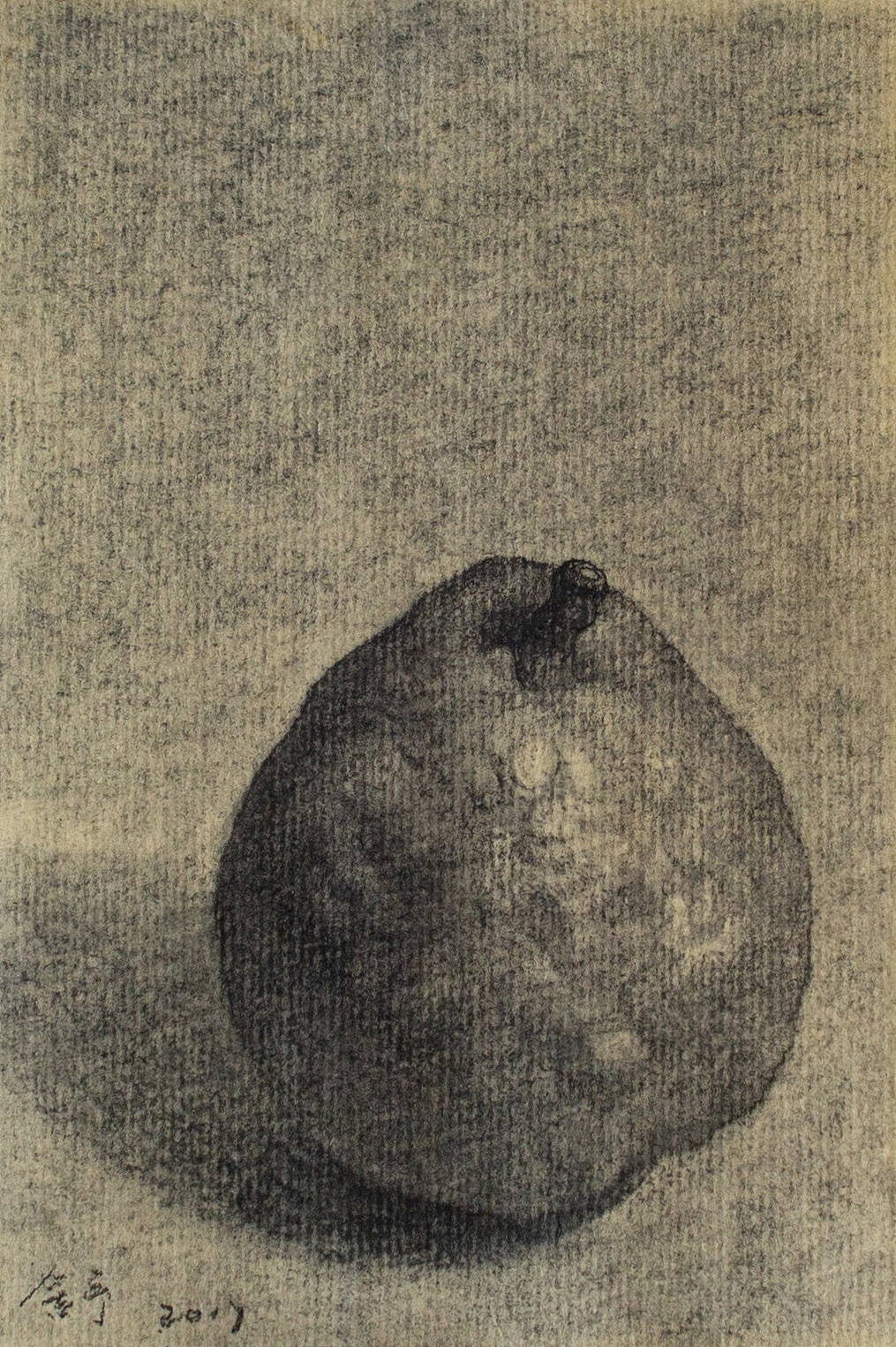 梨、黑白紙本創(chuàng)作——舒揚(yáng)（圖ZMjMyNTYyNTY4） - 繪畫 - 站酷設(shè)計師糙吉流原創(chuàng)素材 - 站酷ZCOOL