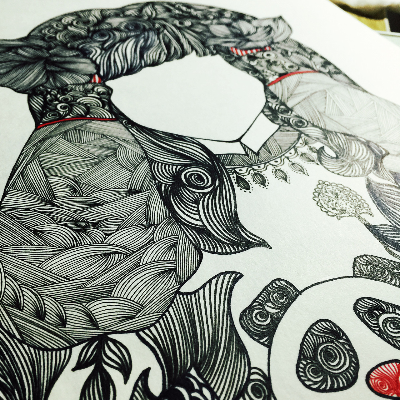 她和它们——寻找世界另一边的自己!