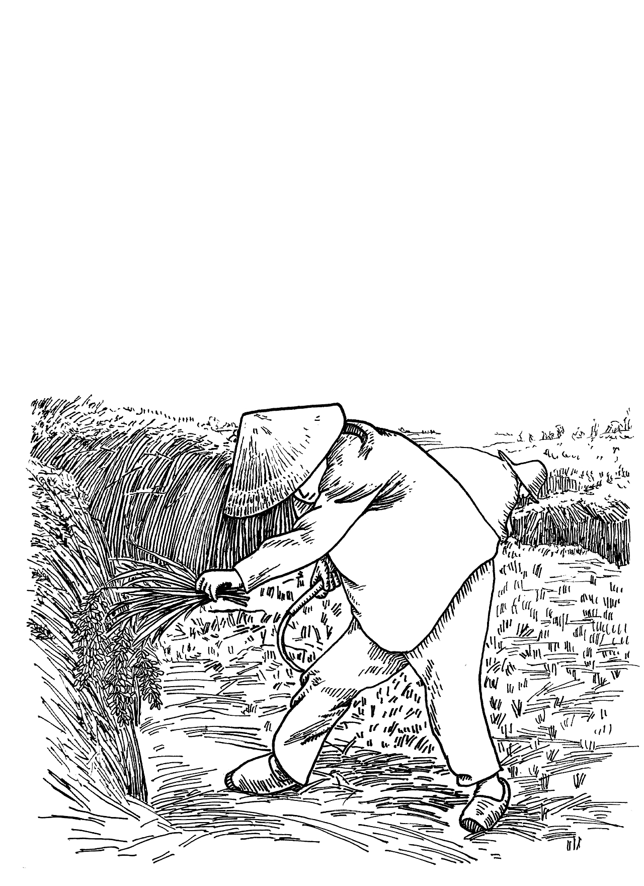 秋收 水稻 大米包装 收割 黑白插画 版画（图ZMTA4NDQyMTE2） - 商业插画 - 站酷设计师益人手绘原创素材 - 站酷ZCOOL