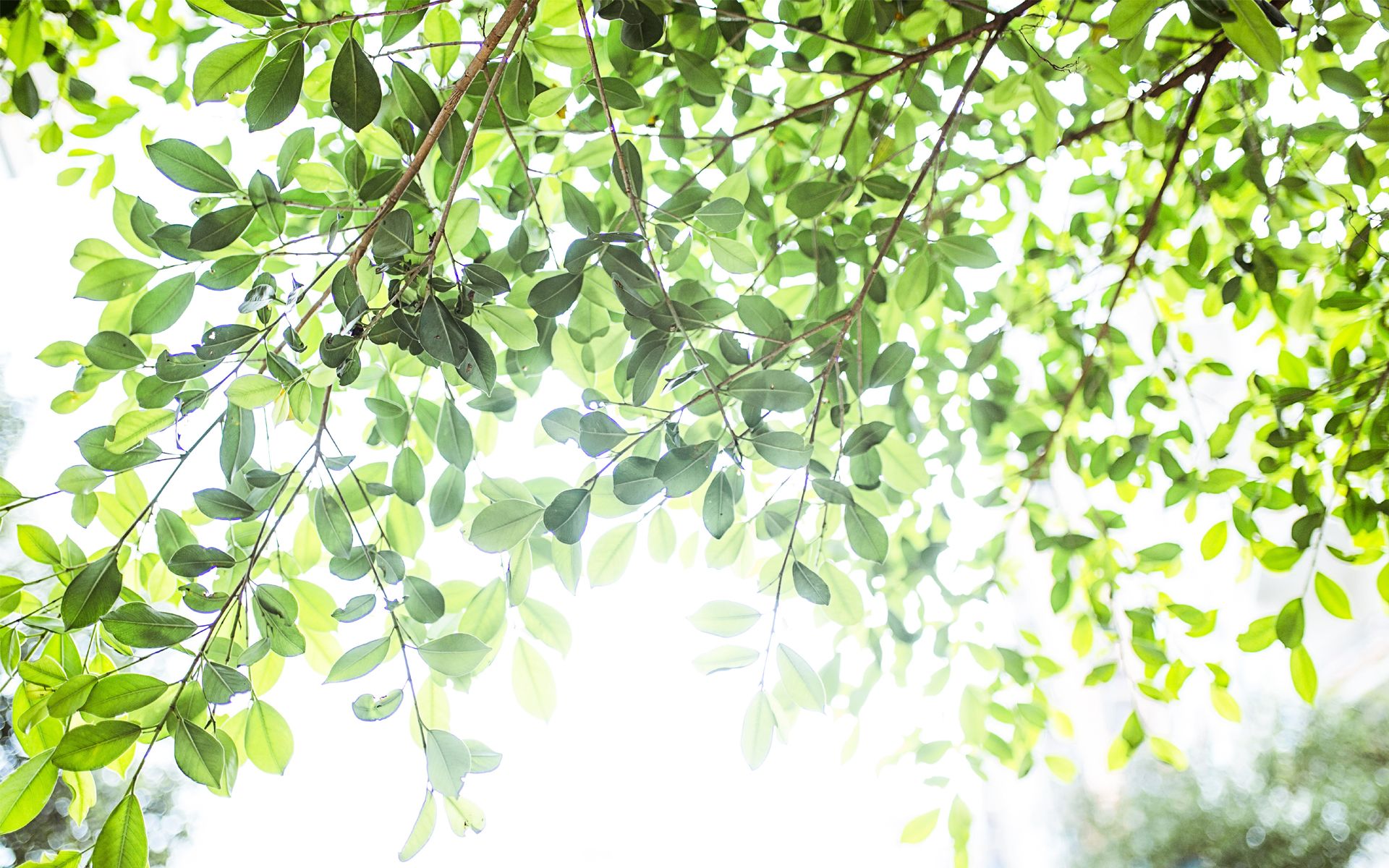 腿毛Tang的個人主頁（封面預(yù)覽） - 主頁封面設(shè)置 - 站酷設(shè)計(jì)師腿毛Tang原創(chuàng)素材 - 站酷ZCOOL