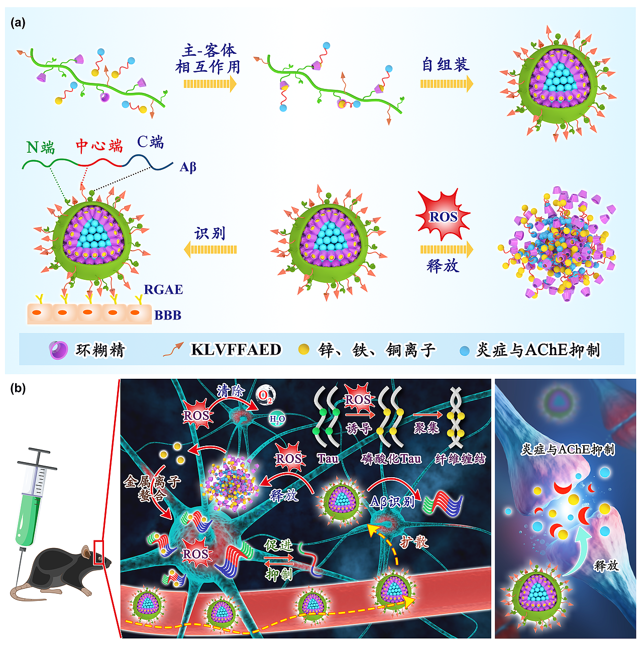 科研绘图—近期设计的生物学相关的论文机理图（图ZMjkzMjYyNzMy） - 创作习作 - 站酷设计师林间有灵原创素材 - 站酷ZCOOL