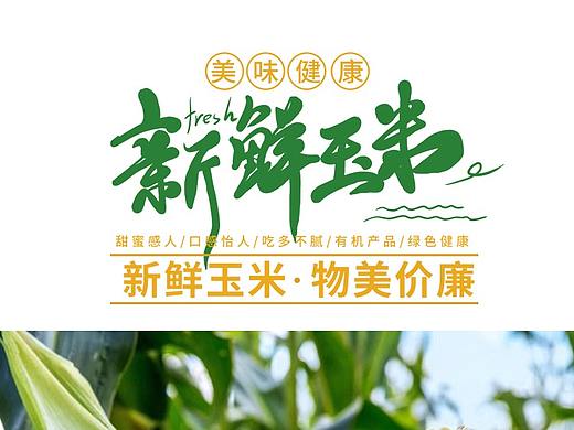 玉米详情