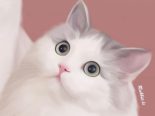 猫咪