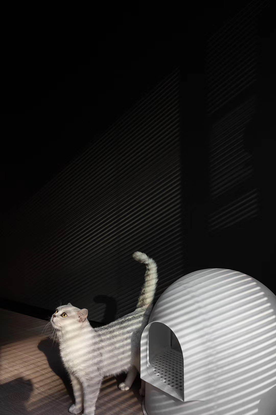 暗（图ZMjI4NTA4OTEy） - 家装设计 - 站酷设计师LONGFEIFEI_原创素材 - 站酷ZCOOL