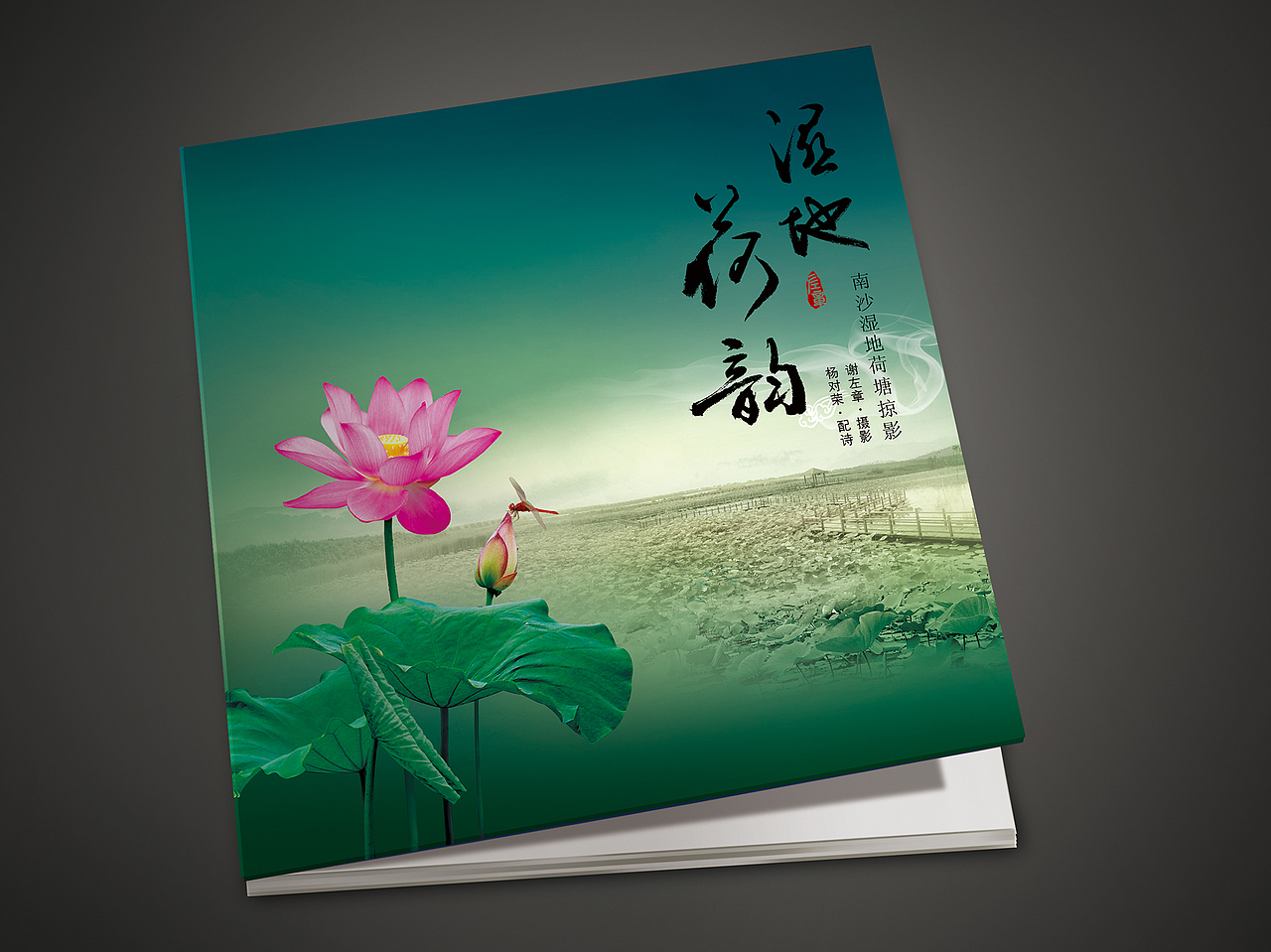 《书籍装帧画册合集》