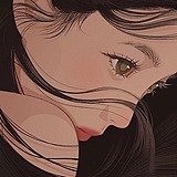 风樱的头像