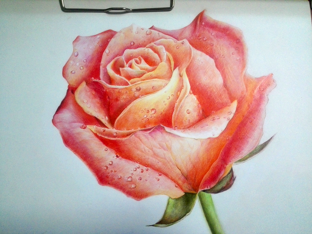 夏色（圖ZNDgwMDg5MzY=） - 創(chuàng)作習(xí)作 - 站酷設(shè)計(jì)師夏天里的冰魔原創(chuàng)素材 - 站酷ZCOOL