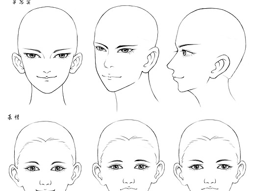 人头练习其他-其他3年前眼睛鼻子练习其他-其他3年前男女头部正面练习