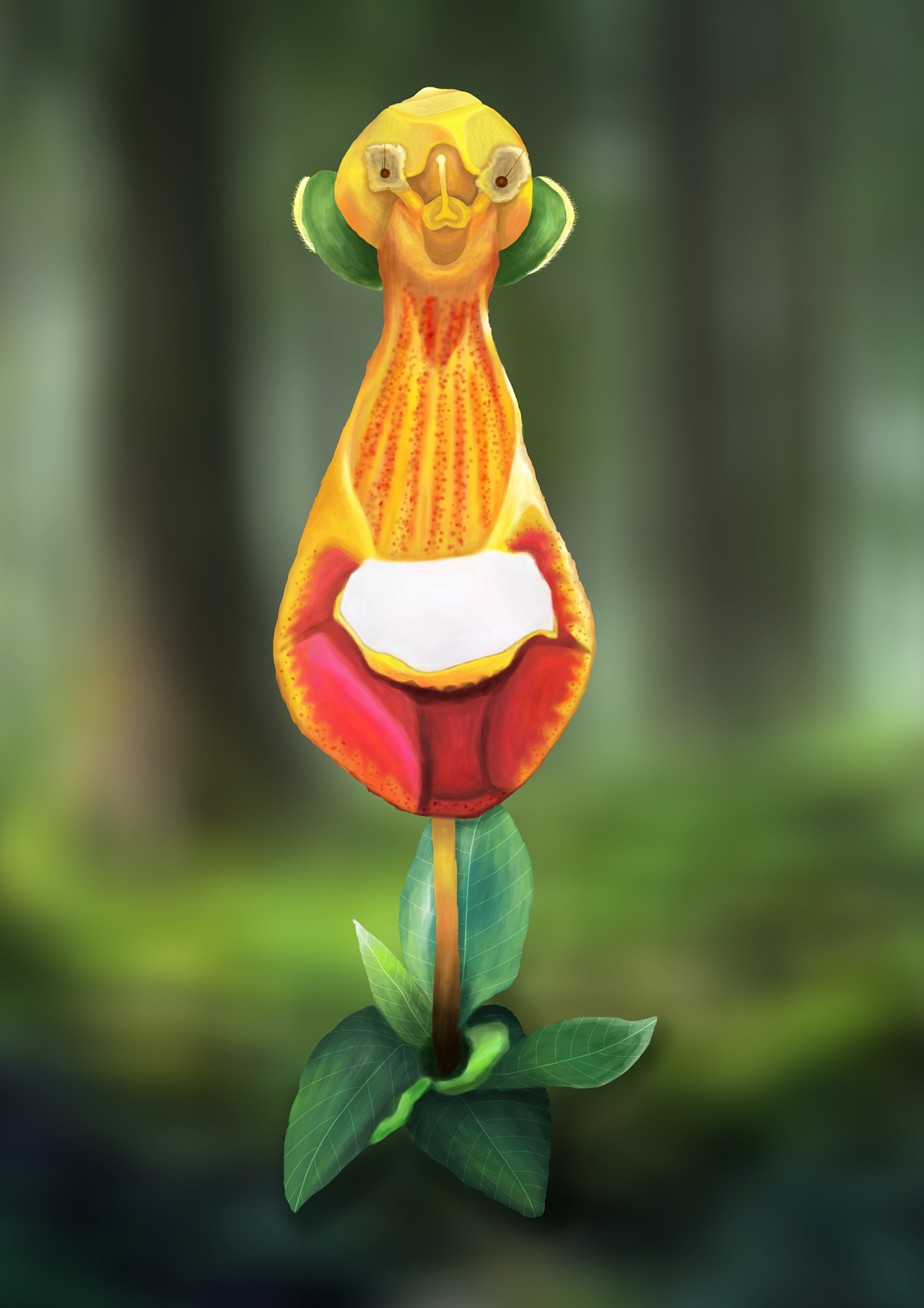 布袋花|插画|创作习作|楠楠amy - 原创作品 - 站酷 (zcool)